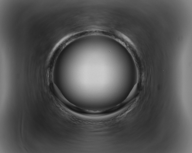 X0000084551310200703021457