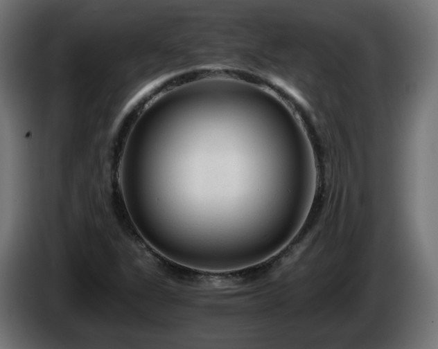 X0000084551311200703021457