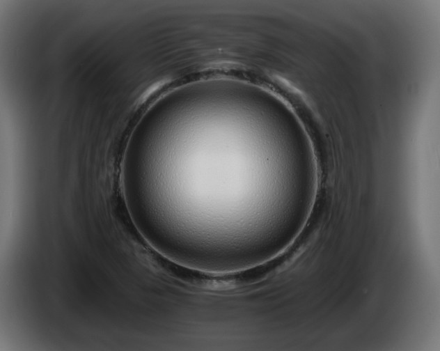 X0000084551313200703021457