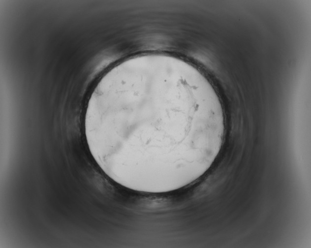 X0000084551314200703021457