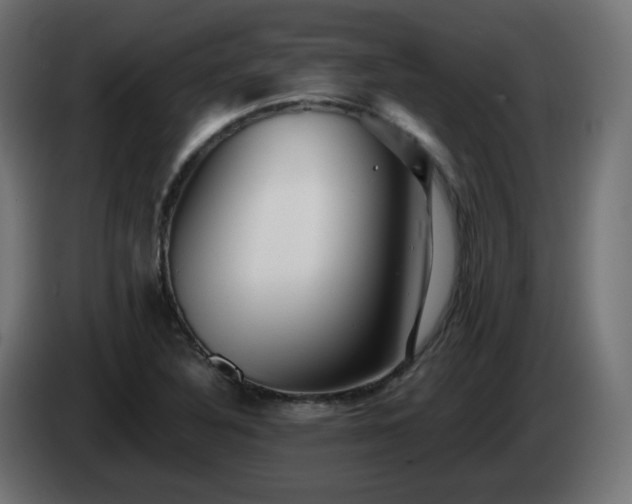 X0000084551316200703021457