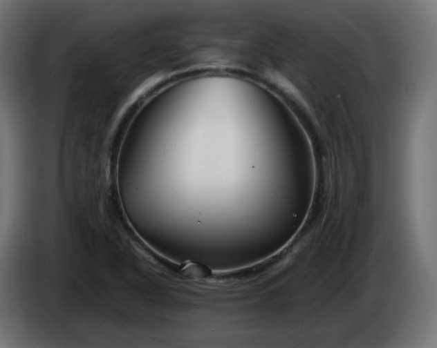 X0000084551318200703021457