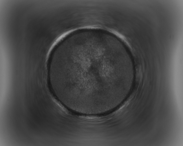 X0000084551319200703021457