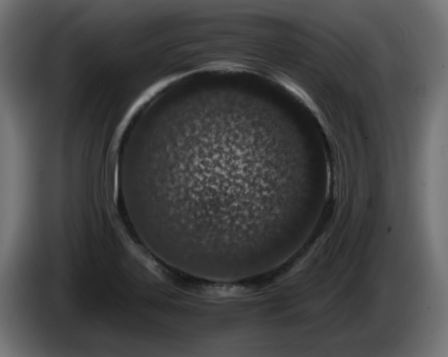 X0000084551323200703021457