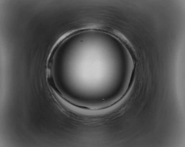 X0000084551324200703021457