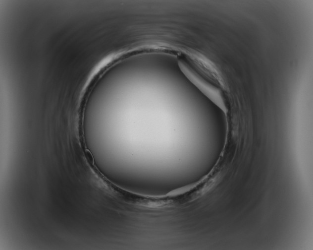 X0000084551326200703021457