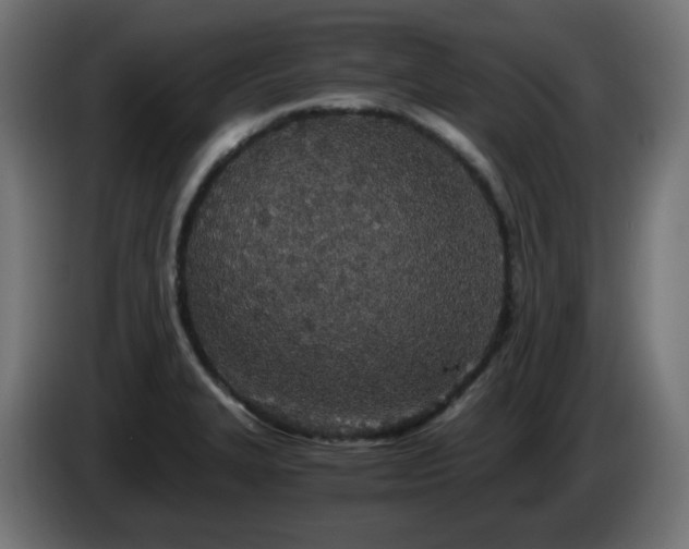 X0000084551327200703021457