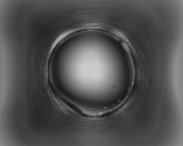 X0000084551328200703021457