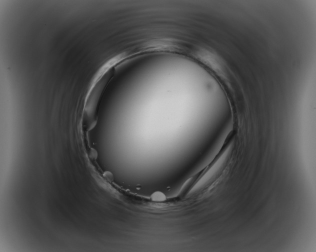 X0000084551330200703021457