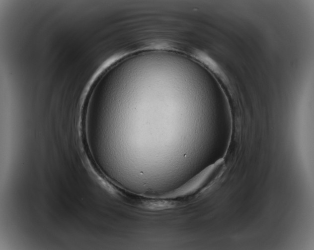 X0000084551331200703021457