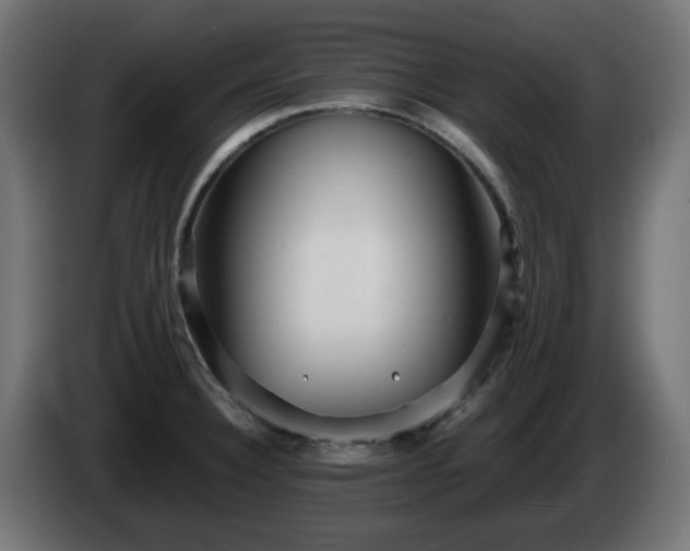 X0000084551332200703021457