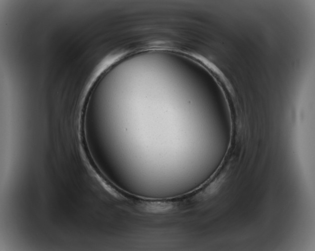X0000084551333200703021457