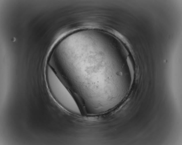 X0000084551334200703021457