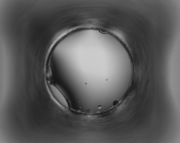 X0000084551335200703021457