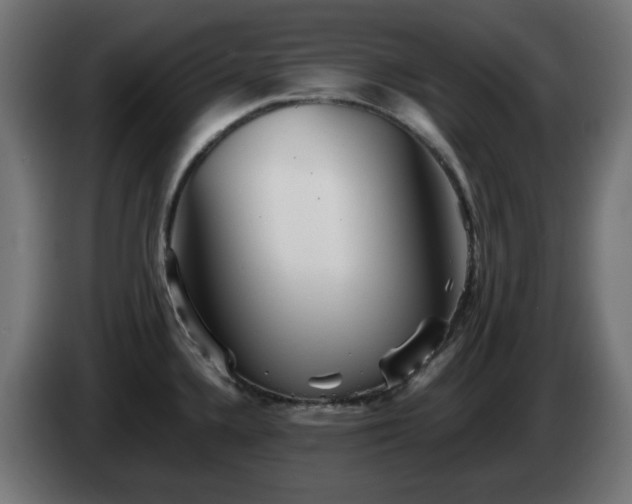 X0000084551336200703021457
