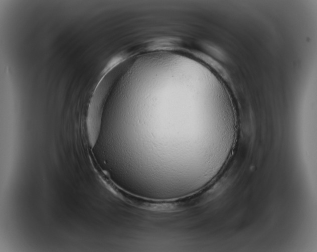 X0000084551337200703021457