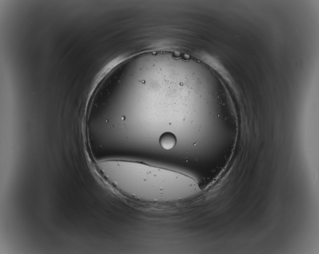 X0000084551338200703021457