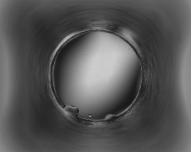 X0000084551339200703021457