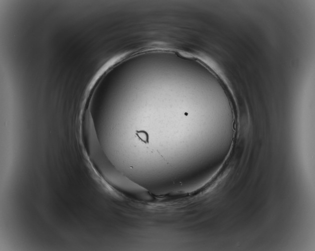 X0000084551341200703021457