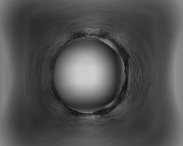 X0000084551345200703021457