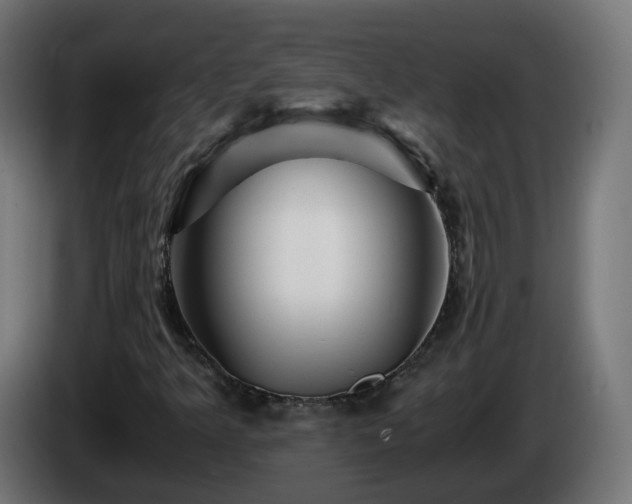 X0000084551349200703021457