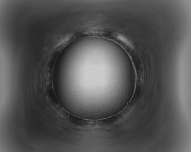 X0000084551350200703021457