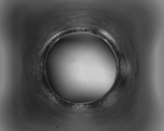 X0000084551352200703021457