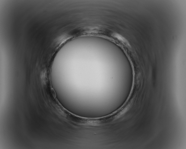 X0000084551353200703021457