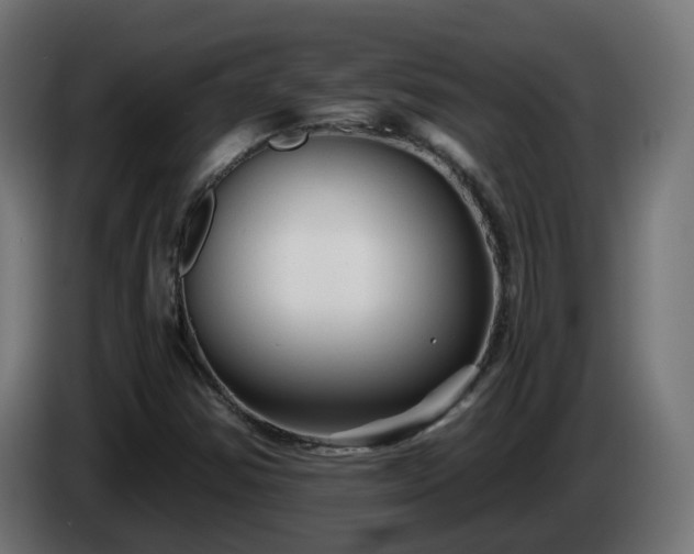 X0000084551354200703021457