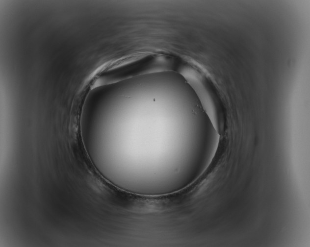 X0000084551355200703021457