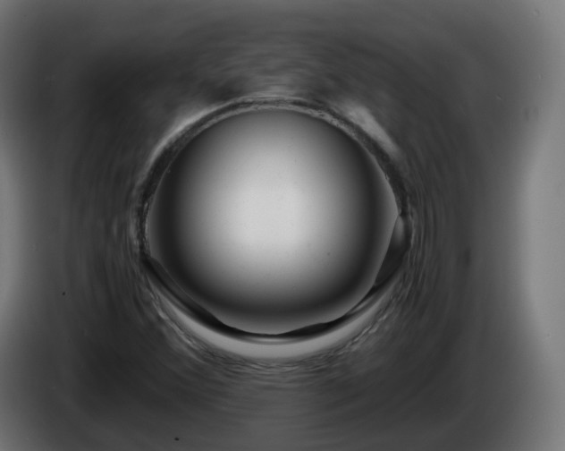 X0000084551356200703021457