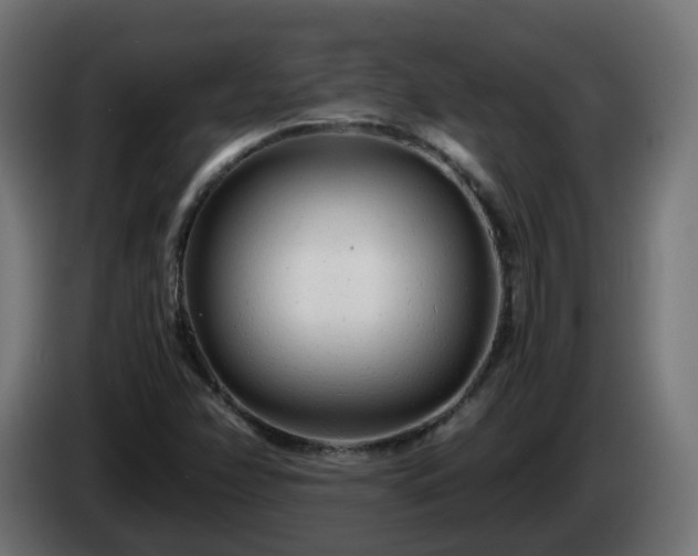 X0000084551358200703021457