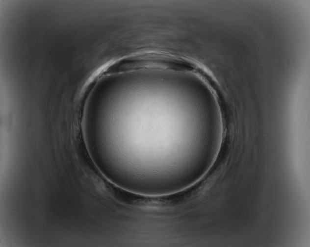 X0000084551359200703021457