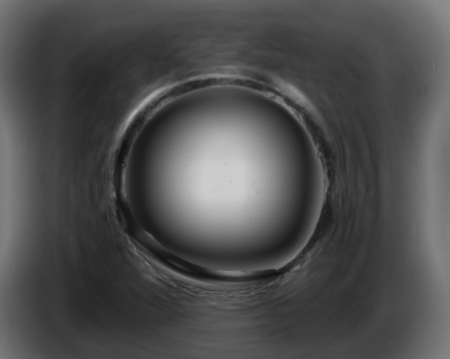 X0000084551360200703021457