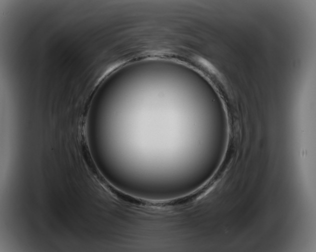X0000084551361200703021457
