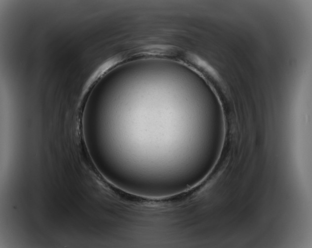 X0000084551362200703021456