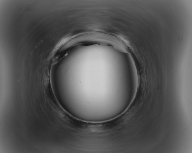 X0000084551363200703021456