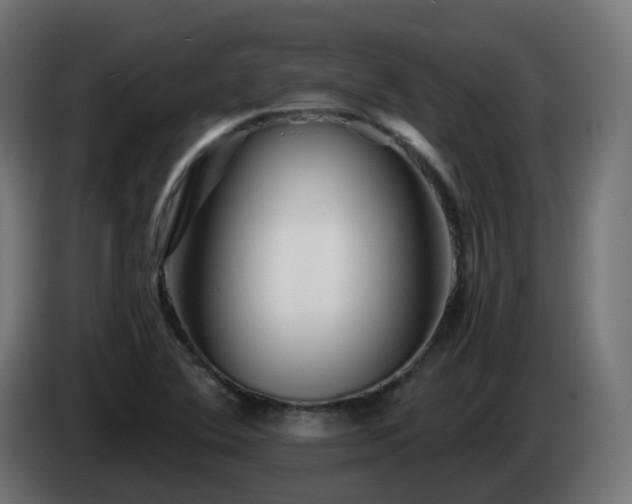 X0000084551364200703021456