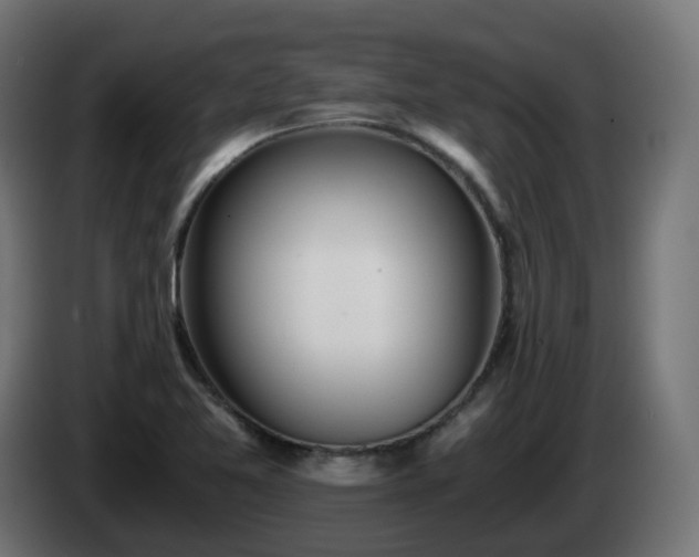 X0000084551365200703021456