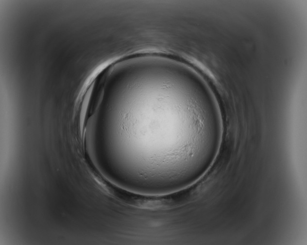 X0000084551367200703021456