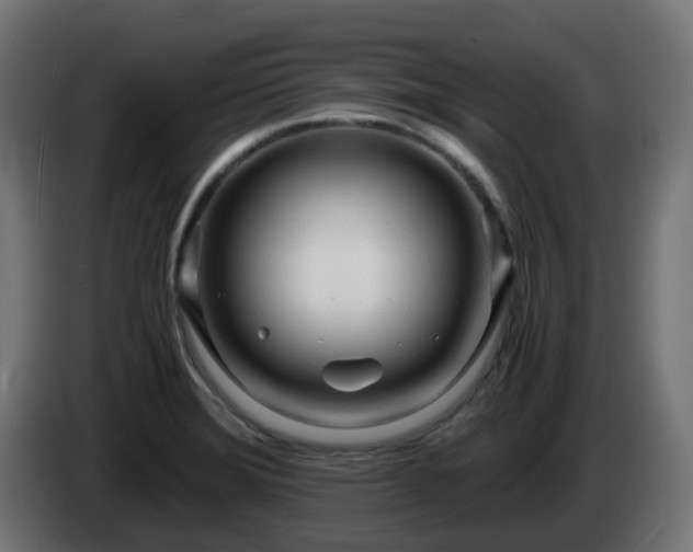 X0000084551372200703021456