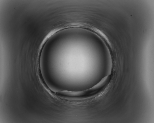 X0000084551373200703021456