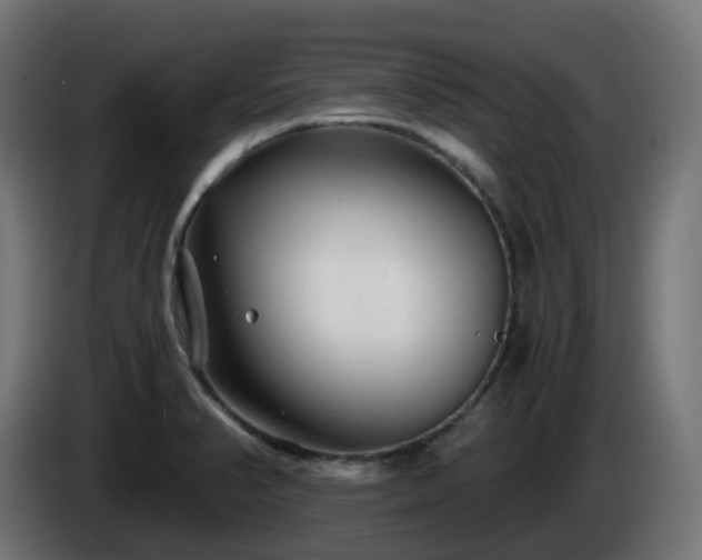 X0000084551374200703021456
