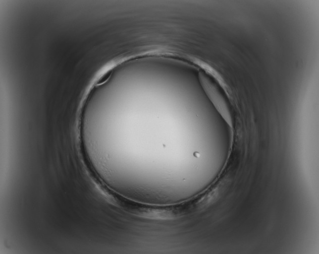 X0000084551375200703021456