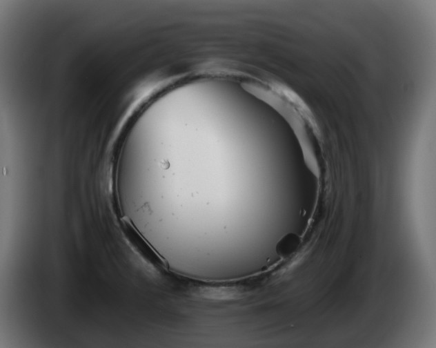 X0000084551376200703021456