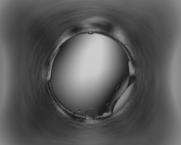 X0000084551377200703021456