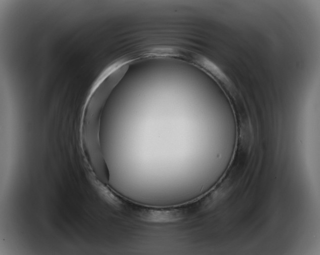 X0000084551378200703021456