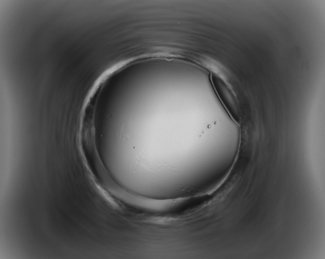 X0000084551379200703021456