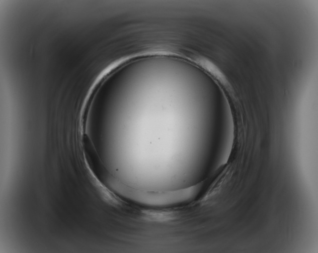 X0000084551380200703021456