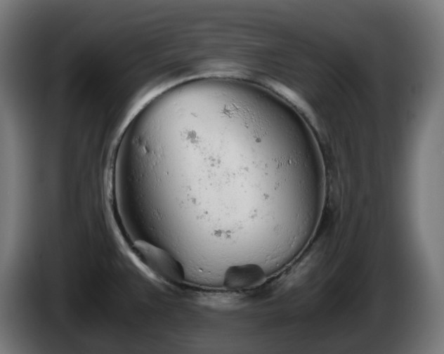 X0000084551383200703021456
